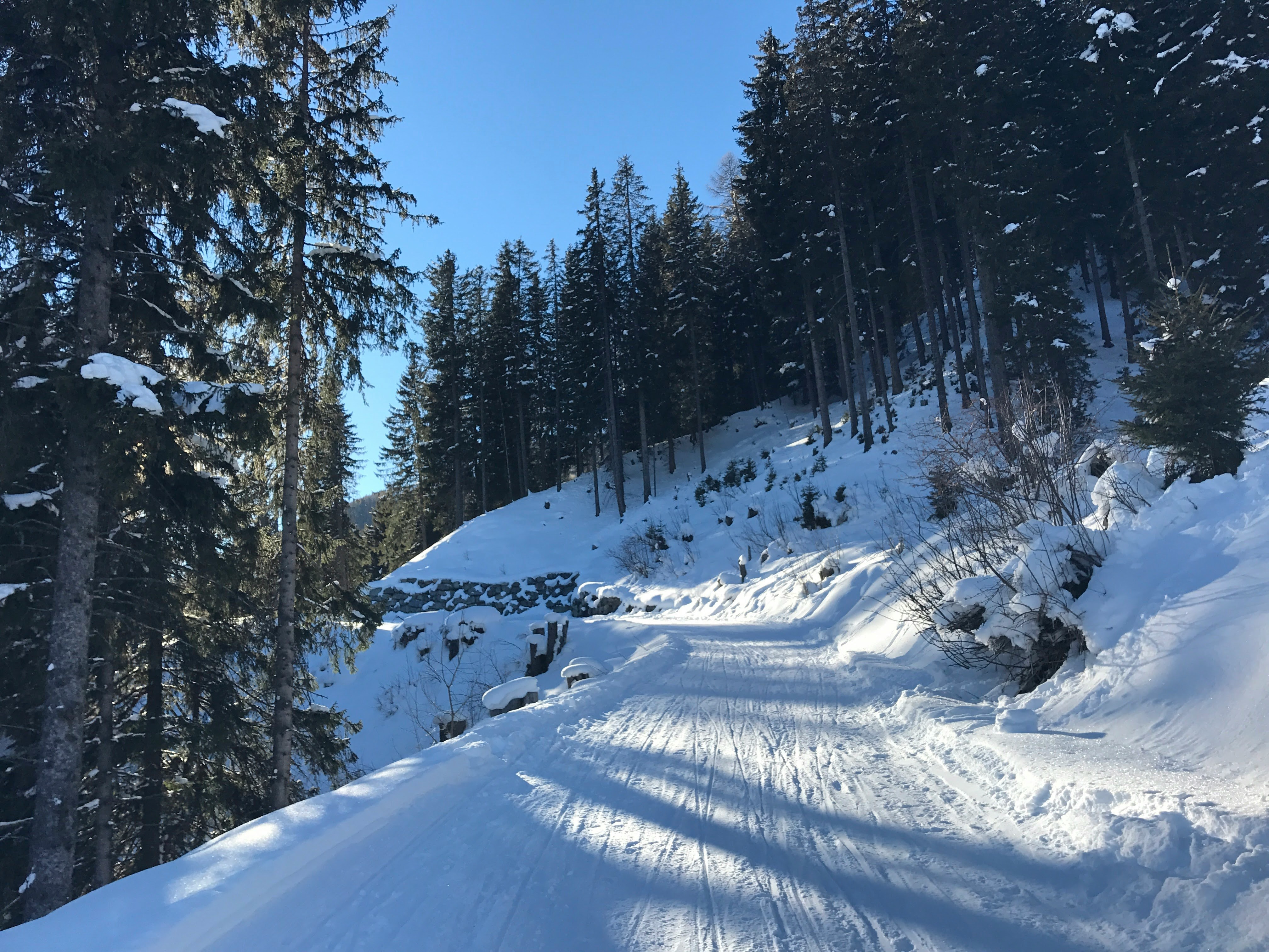 Beginner Trail