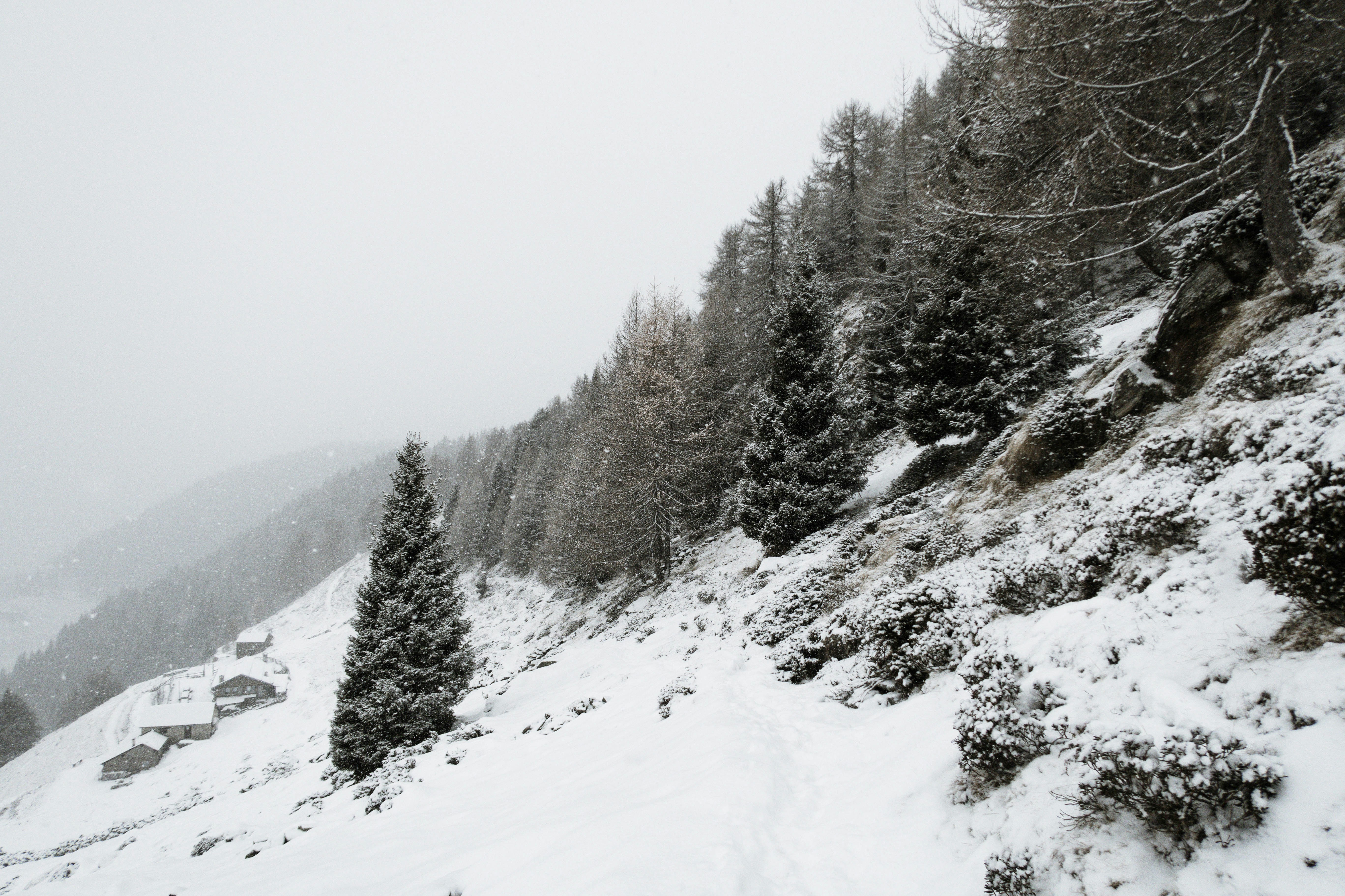 Intermediate Trail